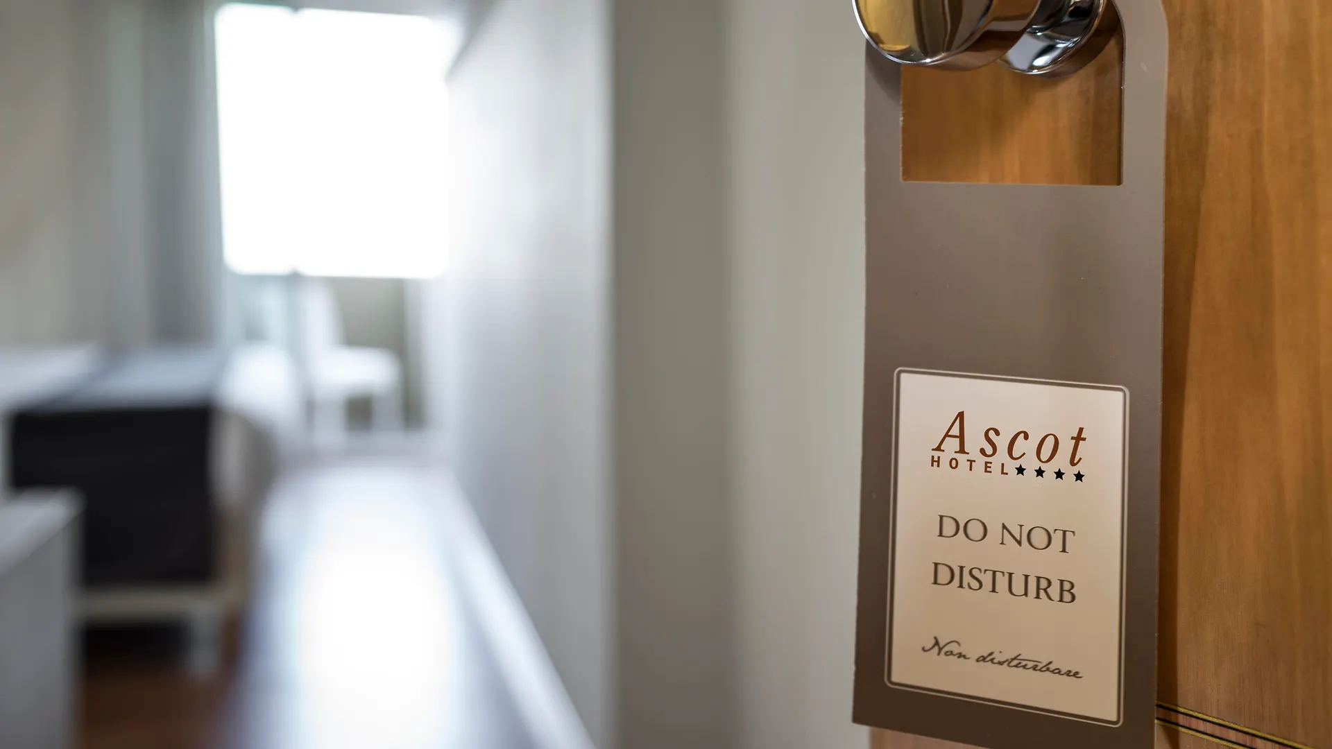 Hotel Ascot & Spa Rimini 4*,