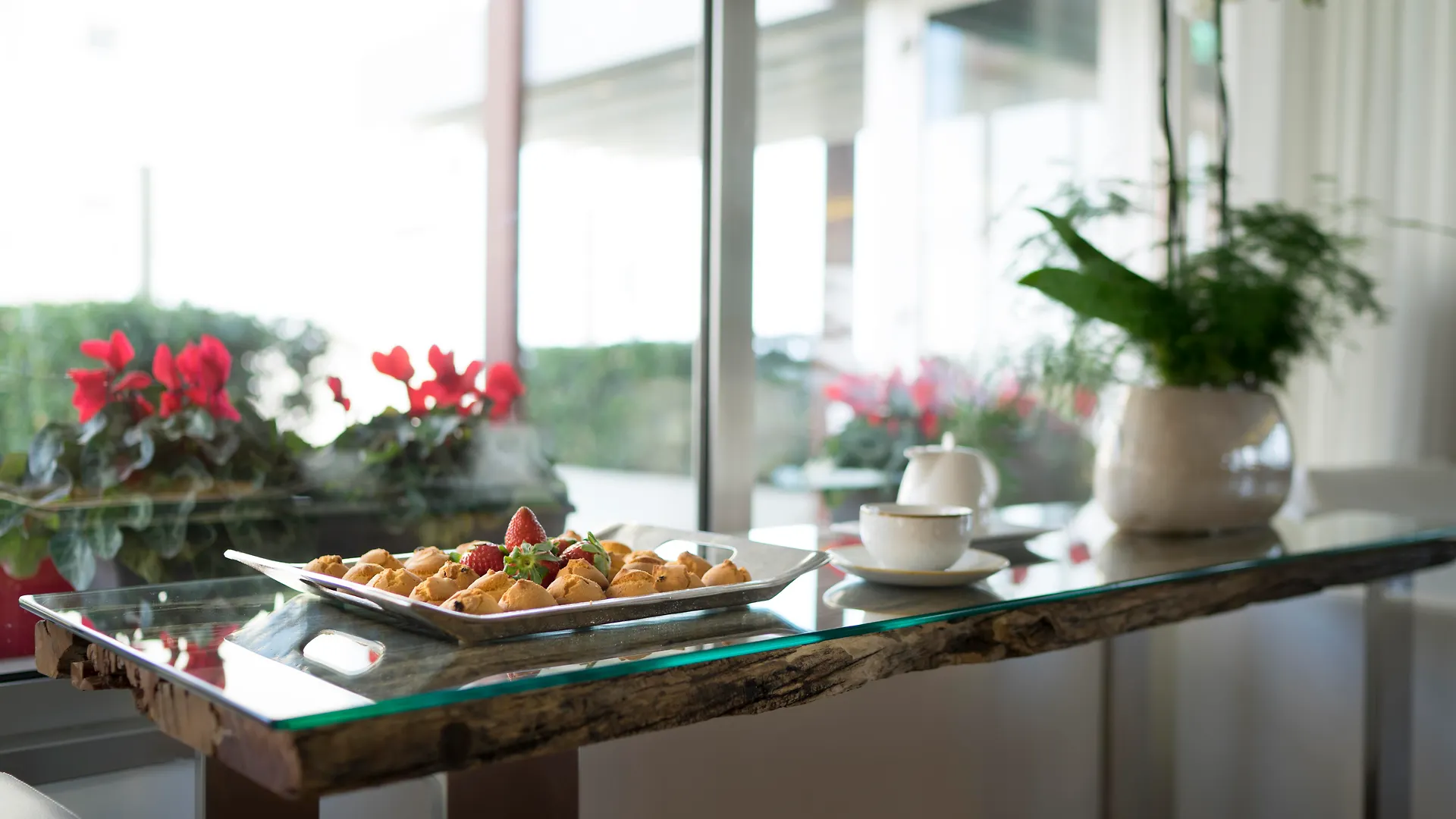 Hotel Ascot & Spa Rimini