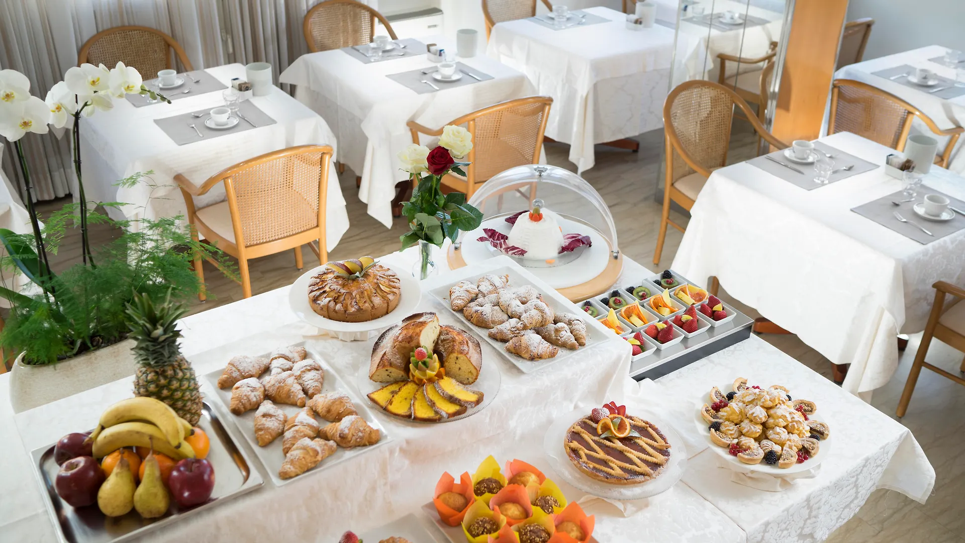 Hotel Ascot & Spa Rimini